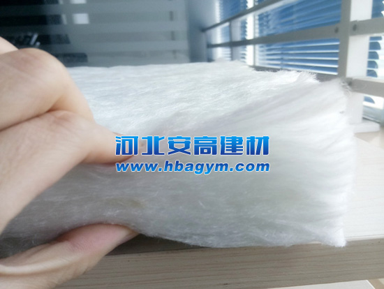 �o��ȩ������