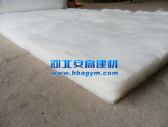 �o��ȩ������