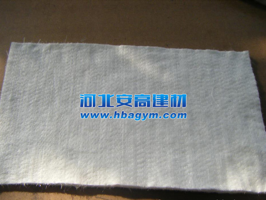 �o�A�������w�Sᘴ̚�